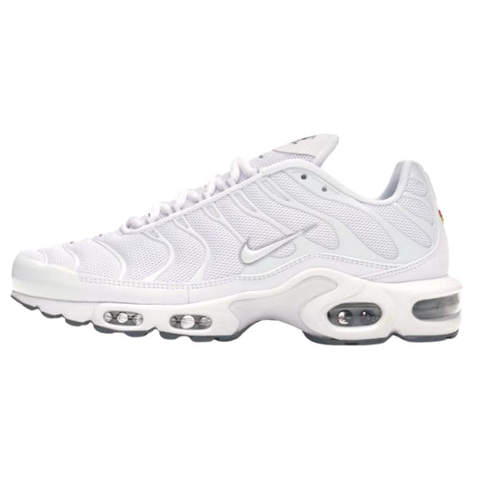 Onesizestore Nike Air Max Plus 604133 139