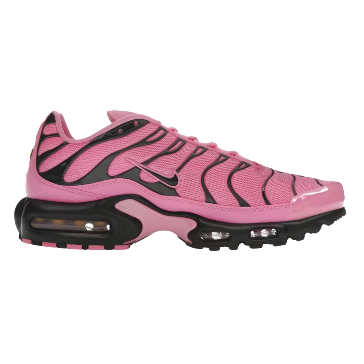 Onesizestore Nike Air Max Plus (W) HJ9743 601