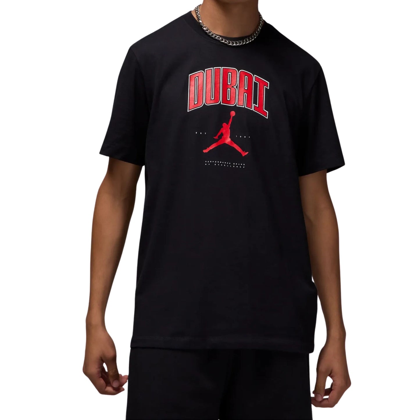 Onesizestore Nike Jordan Men's Dubai T-Shirt HQ0400 010