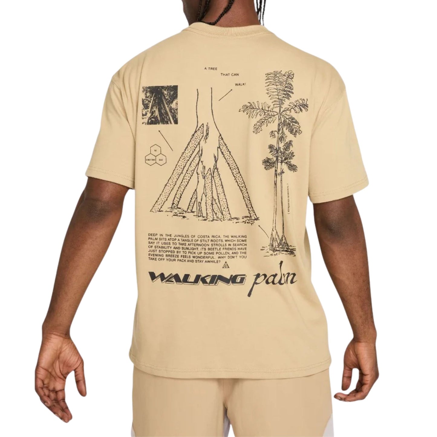 Onesizestore T-Shirt Nike ACG HJ0796 297